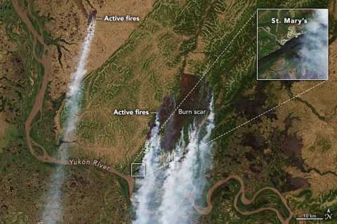 Satellite image of smoke from multiple wildfires near the Yukon River. 